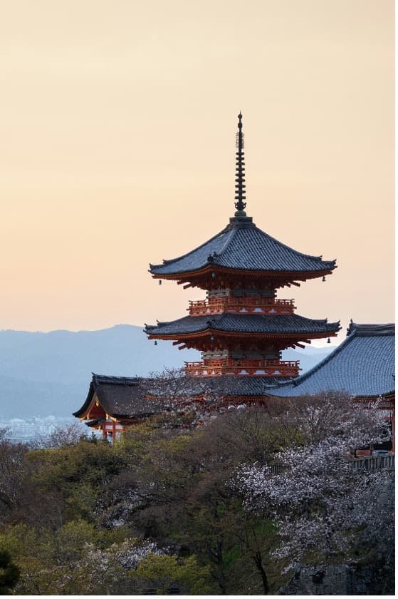 Symbolbild zur Traditionellen Chinesischen Medizin
